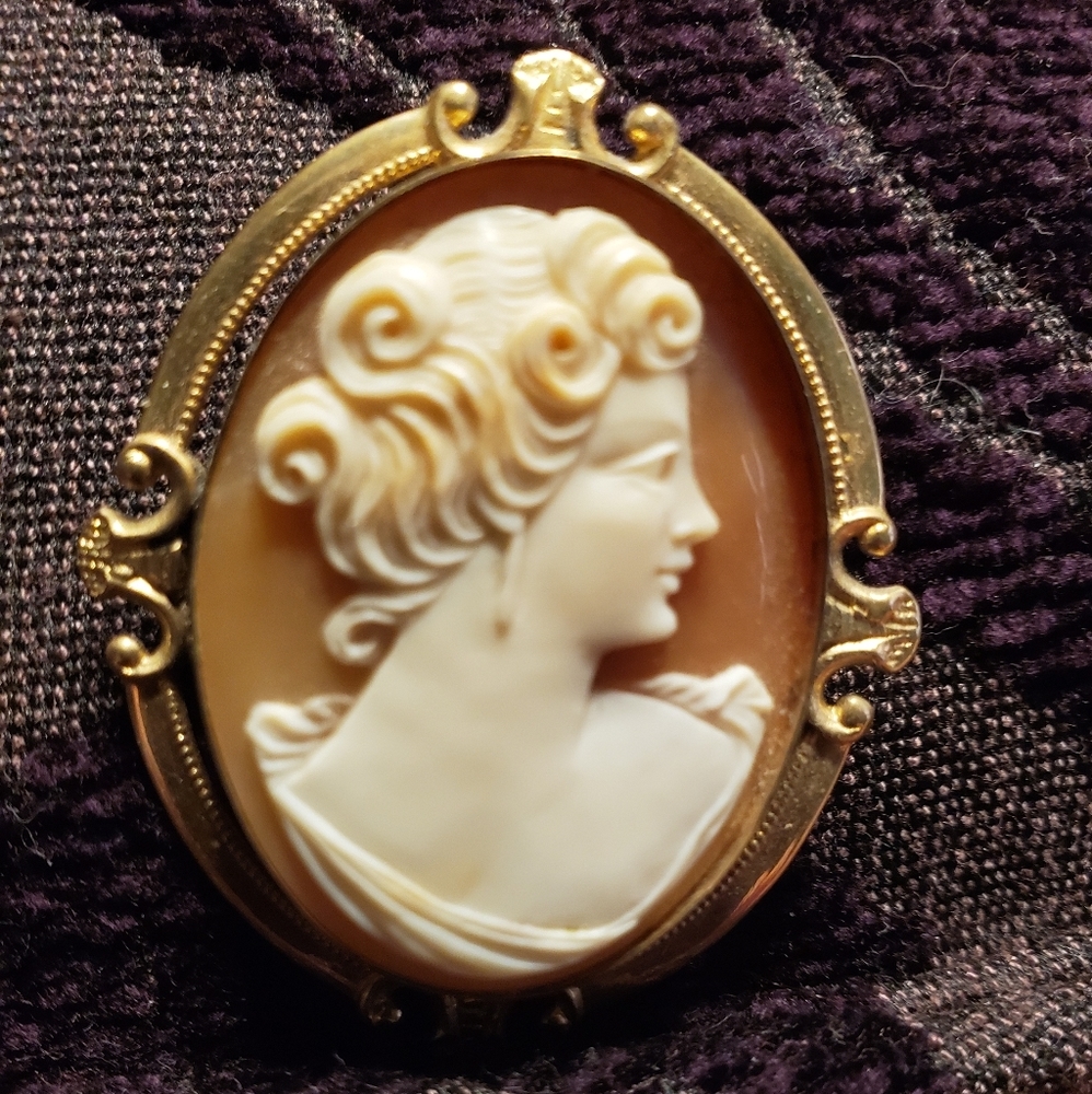Antique Carnelian/Shell Cameo Pin/Pendant